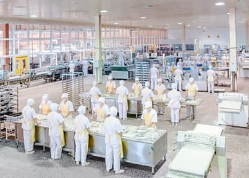 agroindustria-lavanderia-industrial-comercial-efameinsa-lima-peru